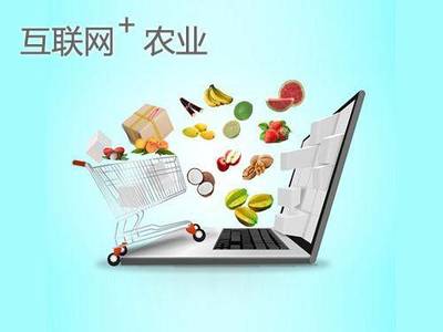 網(wǎng)紅帶貨日入四萬 如何將流量轉(zhuǎn)化為可持續(xù)的財(cái)富？